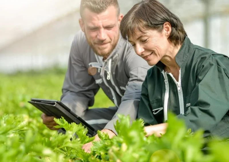Kwaliteitsmedewerker Conserven