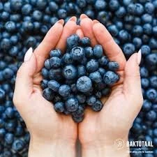 Teamleider Productie Blauwe Bessen