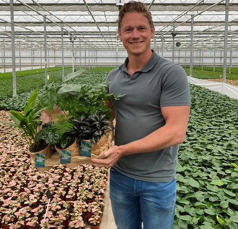 Senior Verkoper Kamerplanten