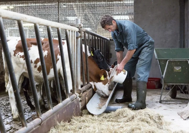 Boerderijmedewerker