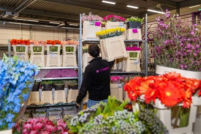 Logistiek Medewerker Bloemen