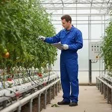 Teelmedewerker