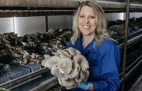 Assistent Meewerkend Voorman Champignons 2-Ploegen