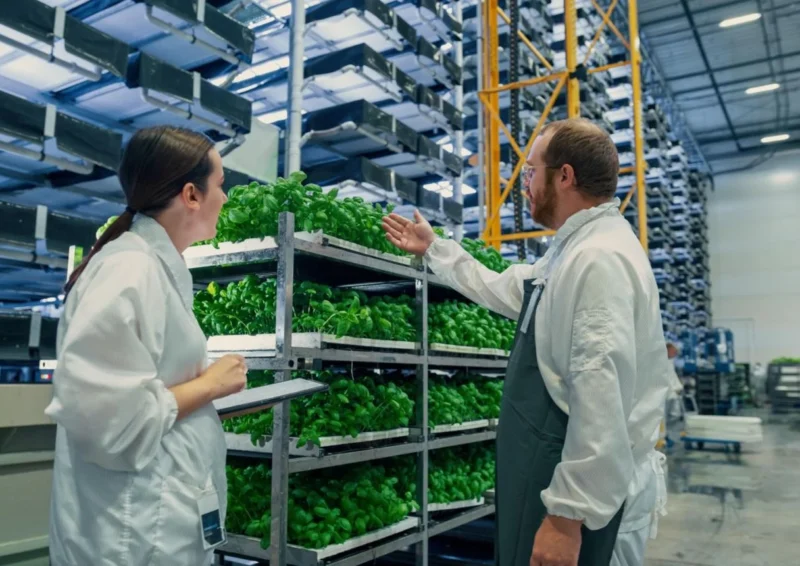 Shift Leader Quality Food 3-Shifts